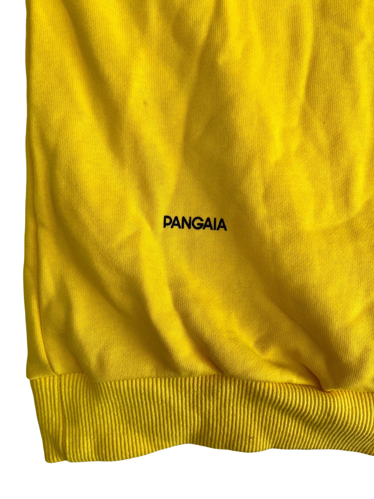 Pangaia Sweater